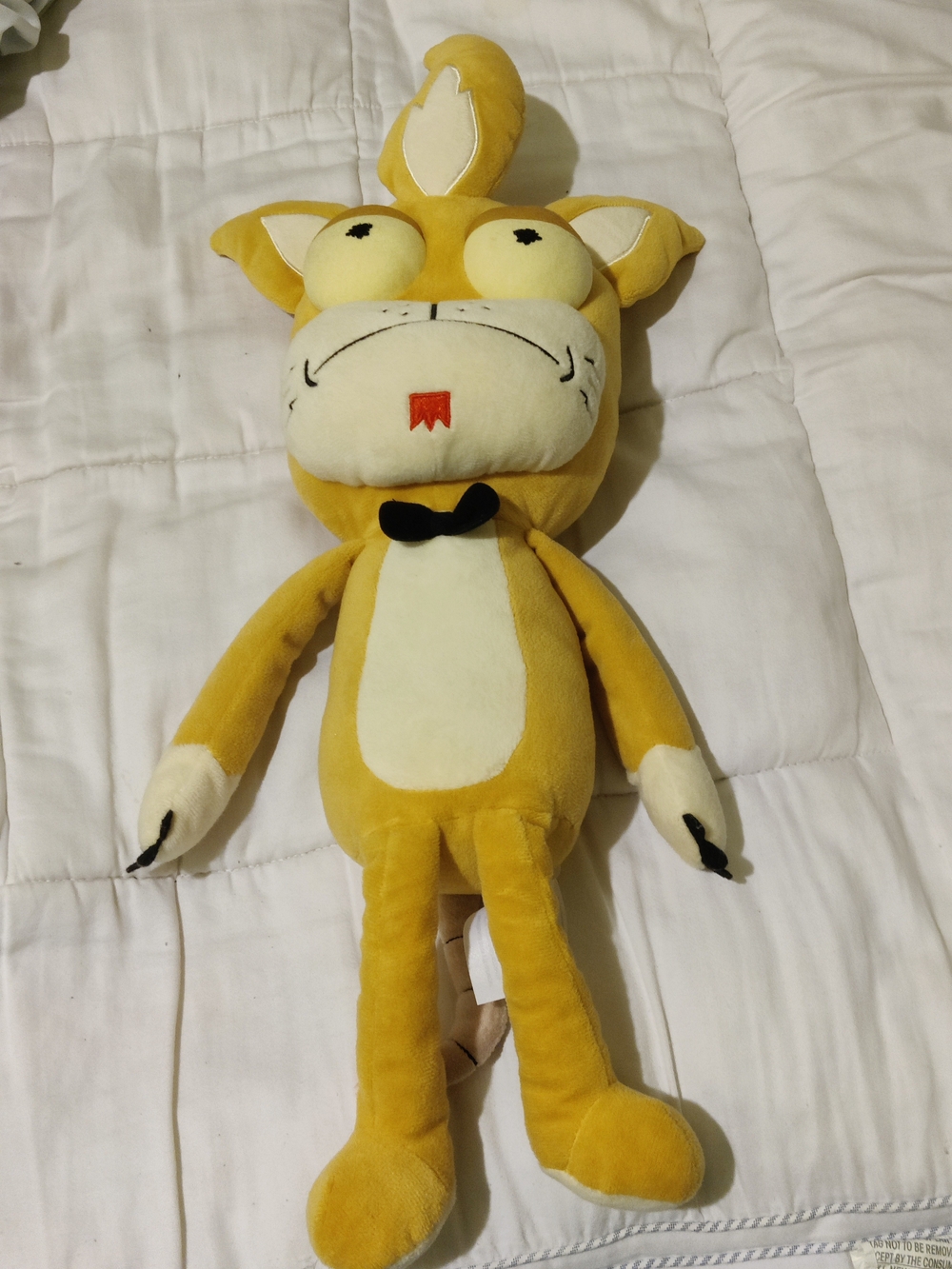 Rick and Morty Box Lunch Exclusive Squanchy Funko 21" Plush